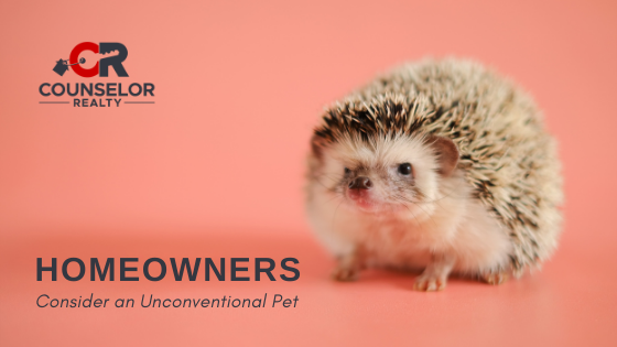 Unconventional Pets - Homeowners - Counselor Realty